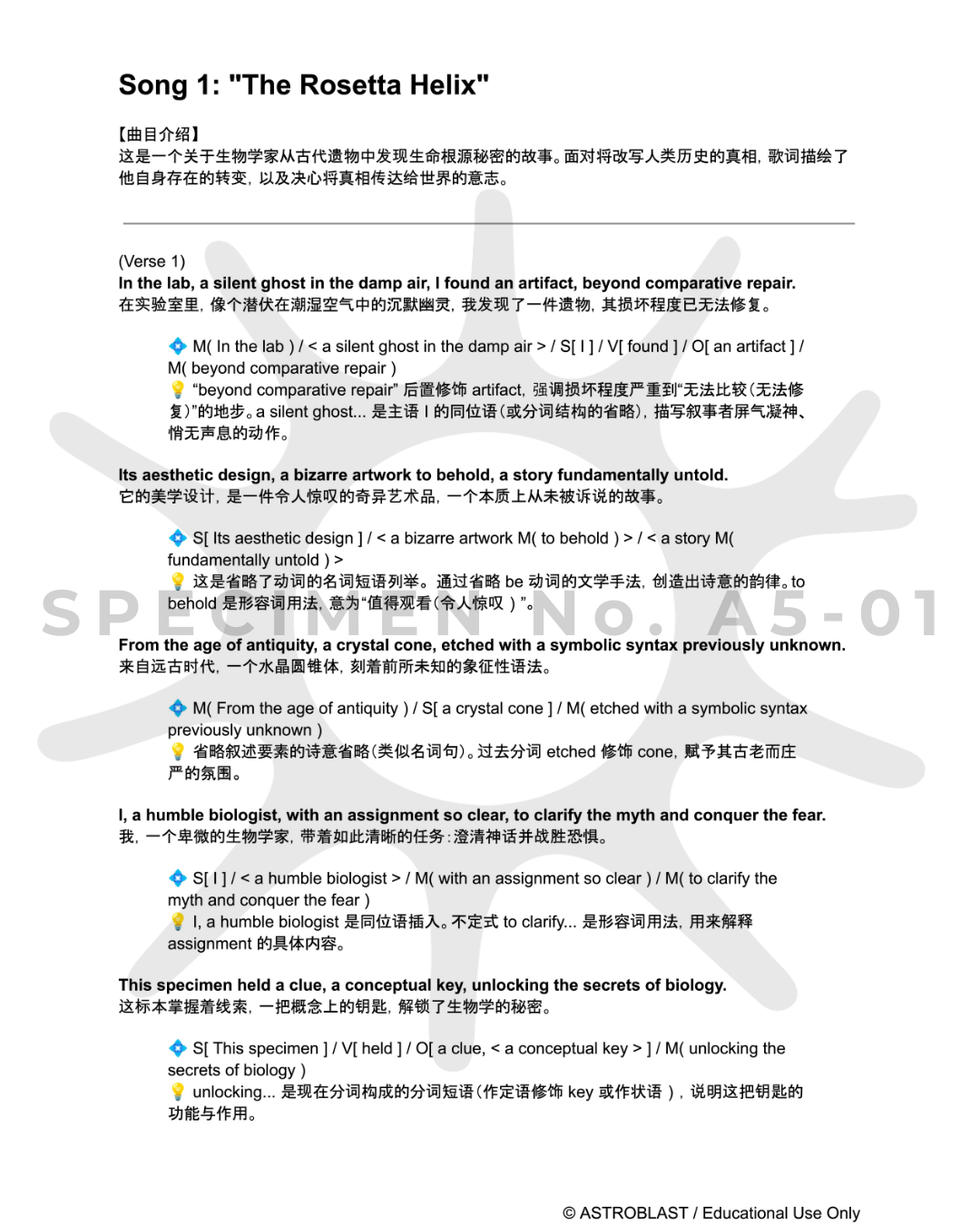 中文翻译与语法要点样本