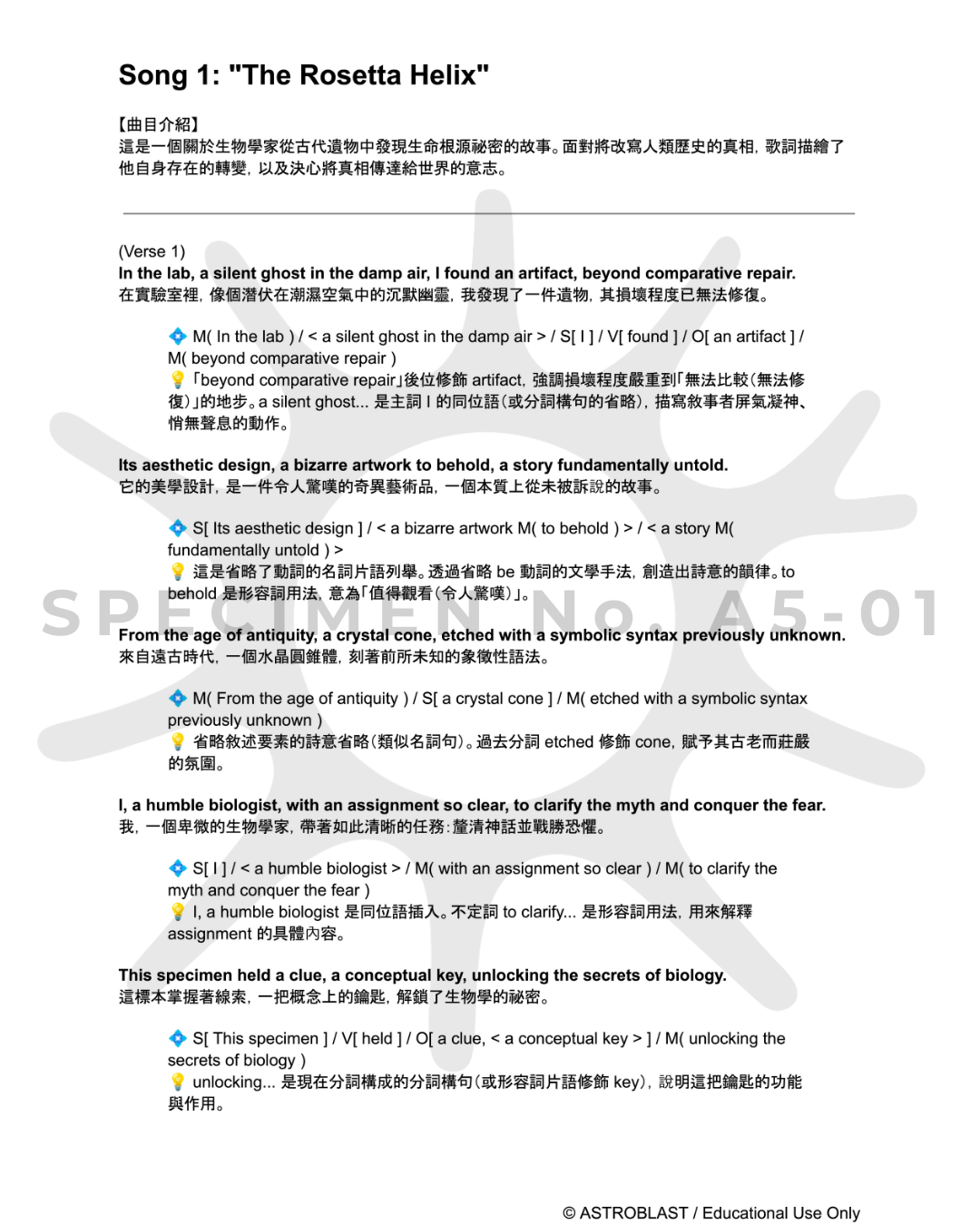 中文翻譯與文法重點樣本